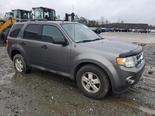 2012 Ford Escape XLT