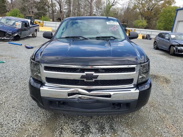 2010 Chevrolet Silverado K1500 LS