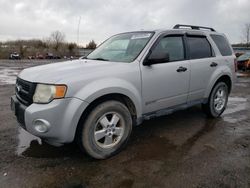 Salvage cars for sale from Copart Columbia Station, OH: 2008 Ford Escape XLT