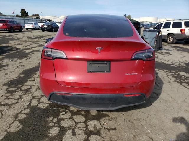 2022 Tesla Model Y