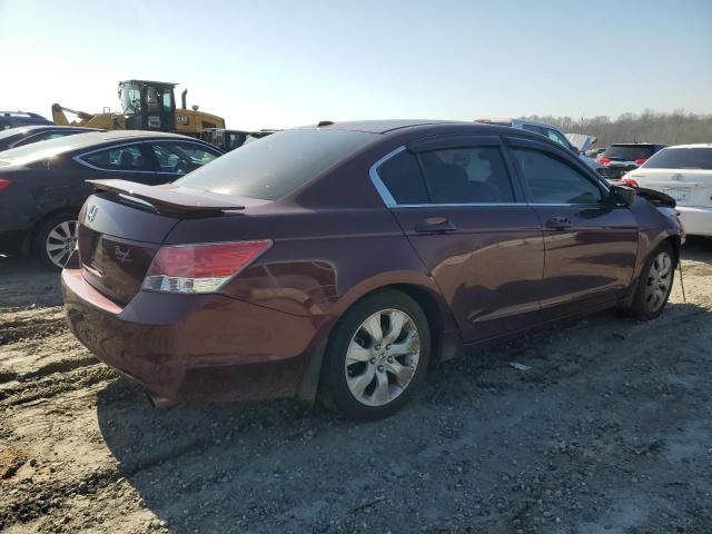 2010 Honda Accord EXL