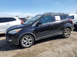 Salvage cars for sale from Copart Hillsborough, NJ: 2013 Ford Escape SE
