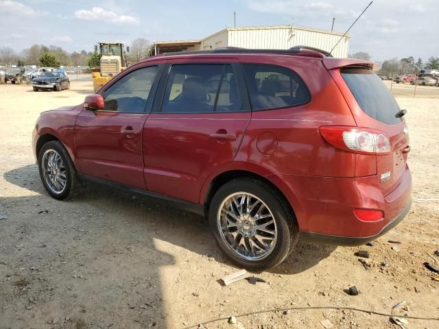 2010 Hyundai Santa FE SE