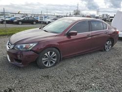 Salvage cars for sale at Eugene, OR auction: 2013 Honda Accord LX