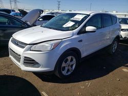 Salvage cars for sale from Copart Elgin, IL: 2014 Ford Escape SE