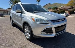 Vehiculos salvage en venta de Copart Phoenix, AZ: 2016 Ford Escape Titanium