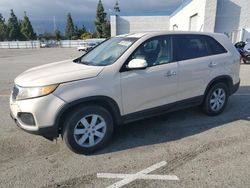 Vehiculos salvage en venta de Copart Rancho Cucamonga, CA: 2011 KIA Sorento Base