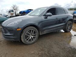 Salvage cars for sale from Copart San Martin, CA: 2023 Porsche Macan Base