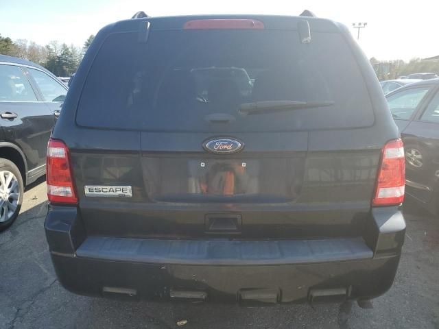 2011 Ford Escape XLT