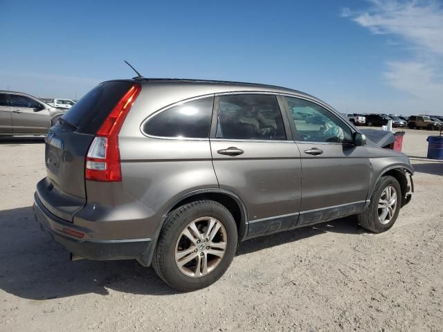 2010 Honda CR-V EXL