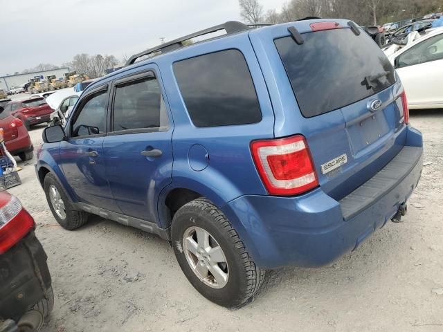 2009 Ford Escape XLT