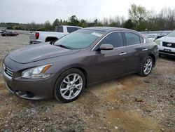 Nissan salvage cars for sale: 2014 Nissan Maxima S