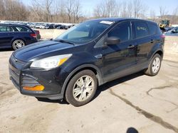 Ford Escape S salvage cars for sale: 2014 Ford Escape S