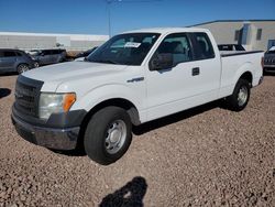 Salvage cars for sale at Phoenix, AZ auction: 2013 Ford F150 Super Cab