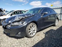 Lexus IS salvage cars for sale: 2011 Lexus IS 250