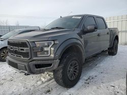 Ford salvage cars for sale: 2019 Ford F150 Raptor