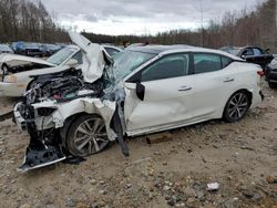 Nissan Maxima SL salvage cars for sale: 2020 Nissan Maxima SL