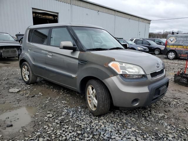 2010 KIA Soul +