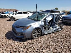 Salvage cars for sale at Phoenix, AZ auction: 2020 Toyota Corolla SE
