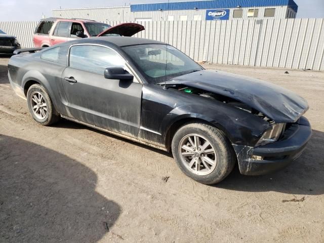 2005 Ford Mustang