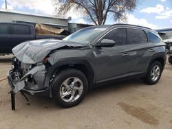 Salvage cars for sale at Albuquerque, NM auction: 2024 Hyundai Tucson SEL