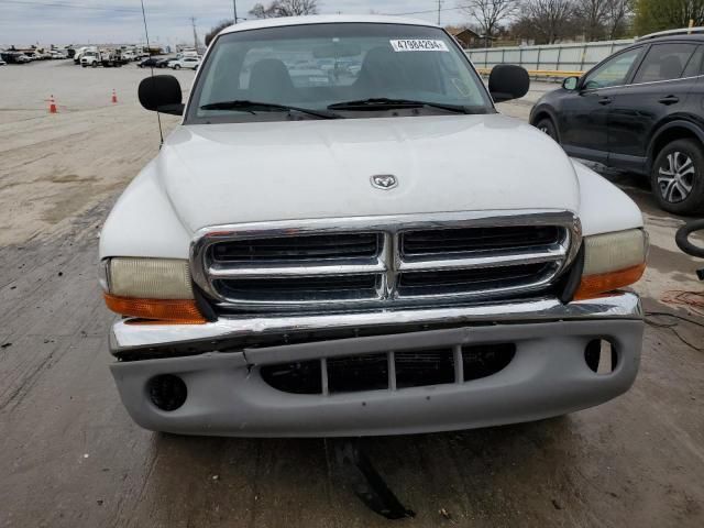 2000 Dodge Dakota