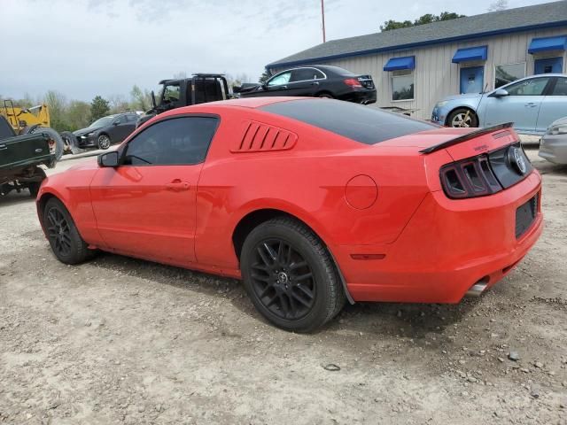 2014 Ford Mustang