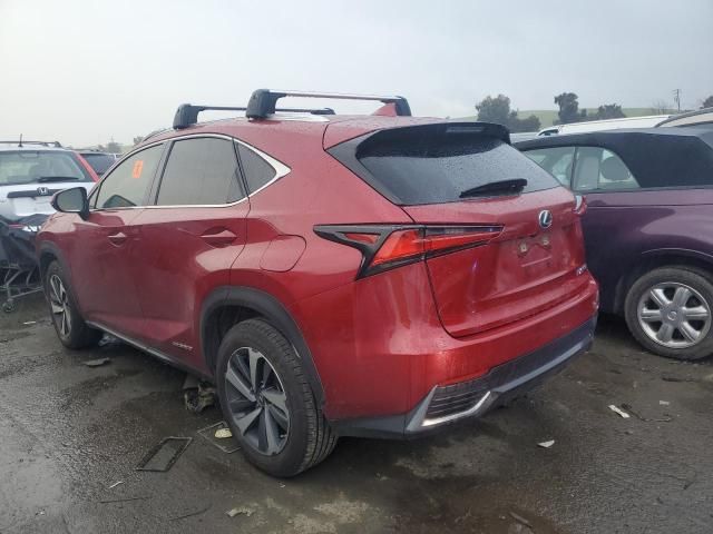 2020 Lexus NX 300H