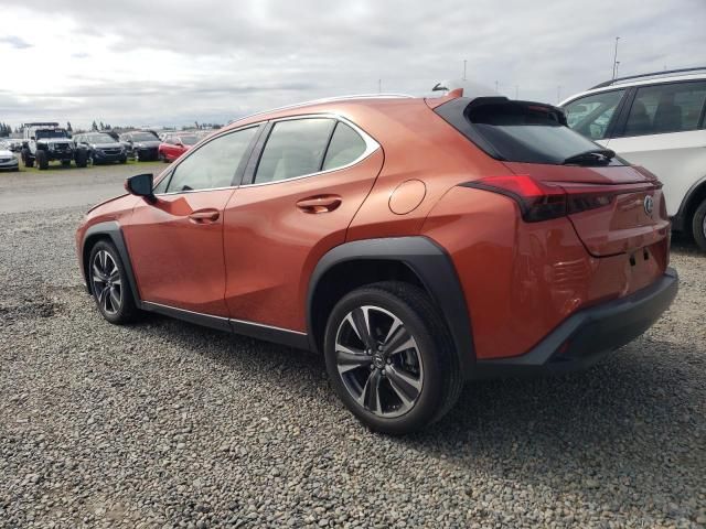 2019 Lexus UX 200