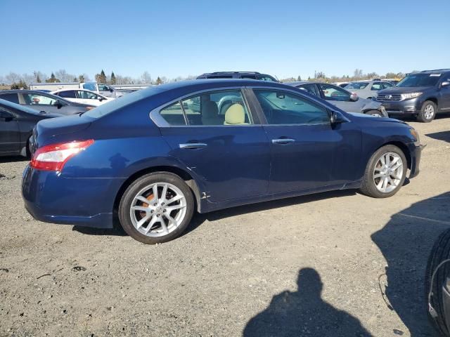 2010 Nissan Maxima S