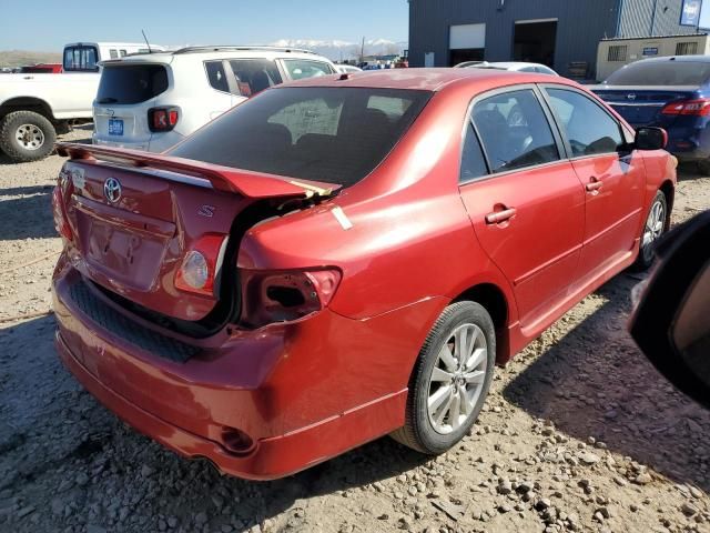 2010 Toyota Corolla Base