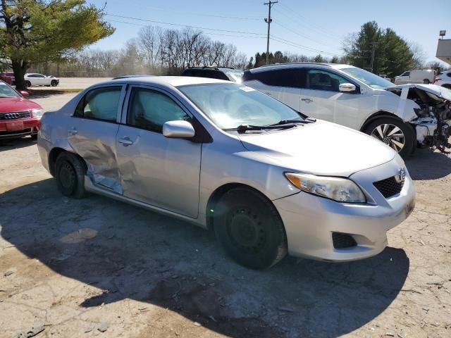 2010 Toyota Corolla Base