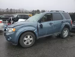 Salvage cars for sale at Exeter, RI auction: 2012 Ford Escape XLT