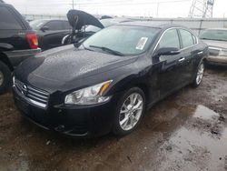 Salvage cars for sale at Elgin, IL auction: 2014 Nissan Maxima S