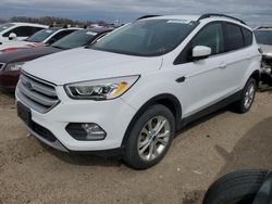 Salvage cars for sale at Nampa, ID auction: 2018 Ford Escape SEL