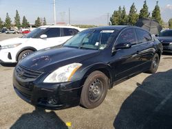 Nissan Altima Base salvage cars for sale: 2010 Nissan Altima Base