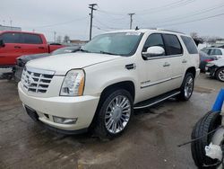 Cadillac Escalade salvage cars for sale: 2011 Cadillac Escalade Luxury