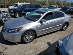 Honda Accord EXL salvage cars for sale: 2011 Honda Accord EXL