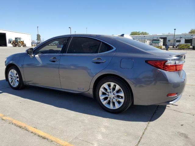 2014 Lexus ES 300H