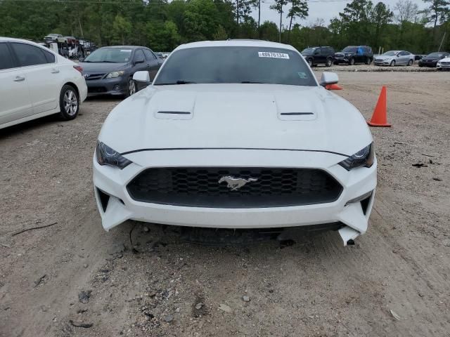 2019 Ford Mustang