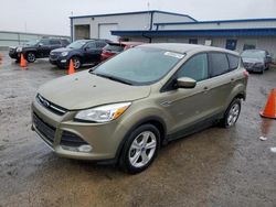 2013 Ford Escape SE for sale in Mcfarland, WI