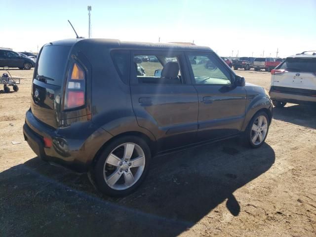 2010 KIA Soul +