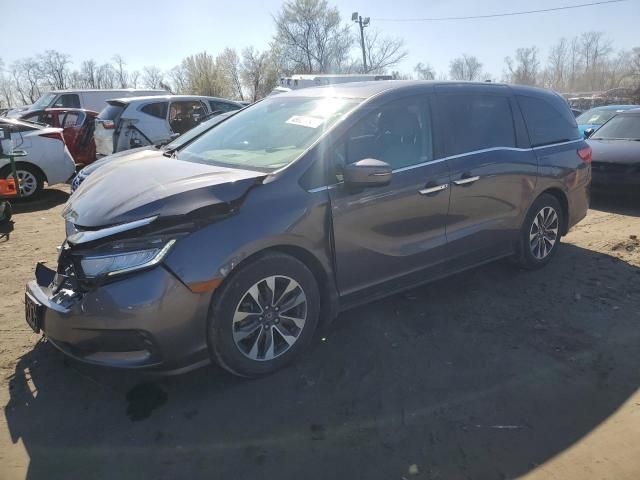 2022 Honda Odyssey EXL