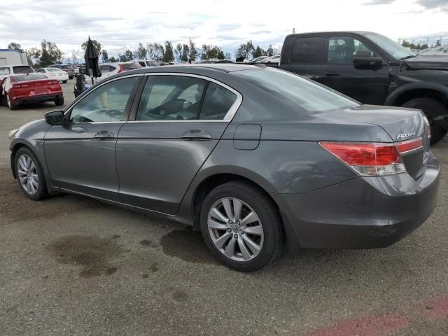 2011 Honda Accord EXL