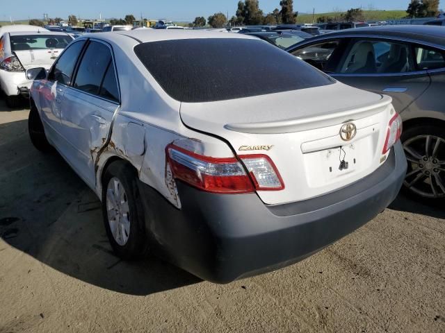 2008 Toyota Camry Hybrid