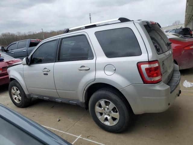 2009 Ford Escape Limited