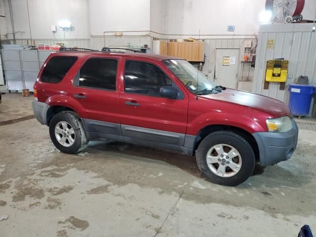 2007 Ford Escape XLT