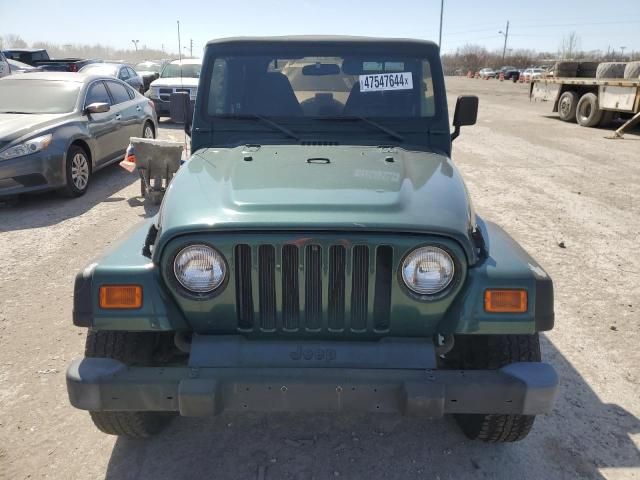 2001 Jeep Wrangler / TJ SE