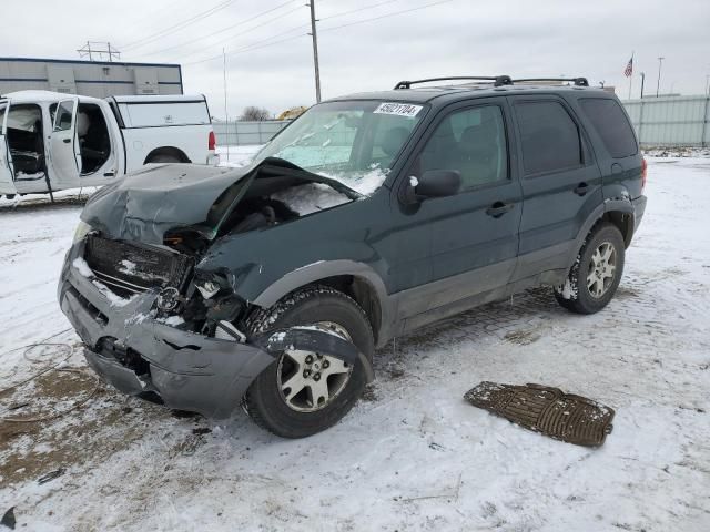 2003 Ford Escape XLT