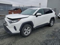 Salvage cars for sale from Copart Elmsdale, NS: 2019 Toyota Rav4 LE